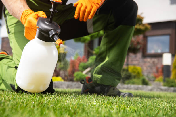 Best Wasp Removal Services  in Maysville, GA