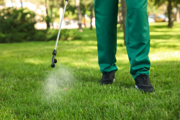 Best Mosquito Control Services  in Maysville, GA