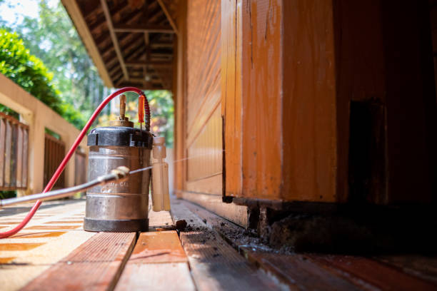 Best Wasp Removal Services  in Maysville, GA