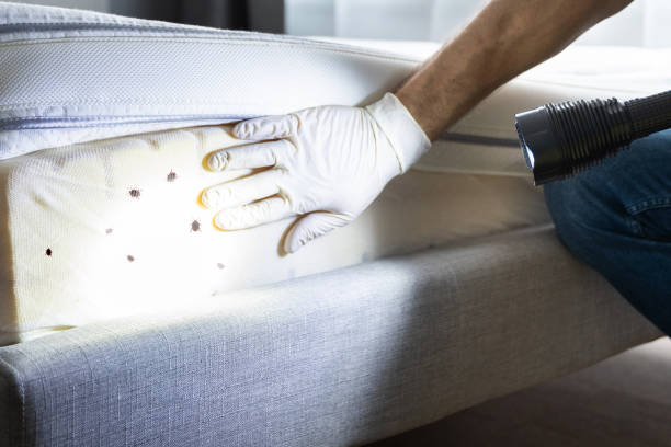Best Wildlife Control Services  in Maysville, GA