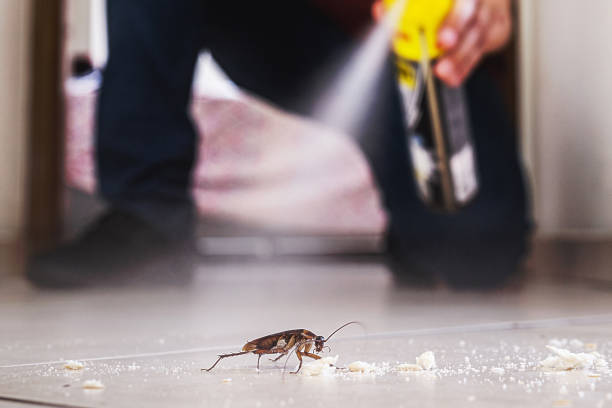 Maysville, GA Pest Control Company