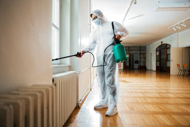 Flea Control Services in Maysville, GA