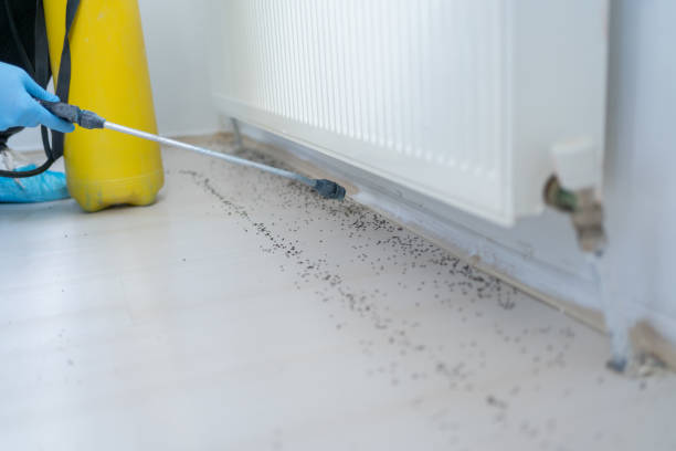Best Pest Inspection Near Me  in Maysville, GA